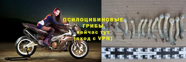 дживик Зеленодольск