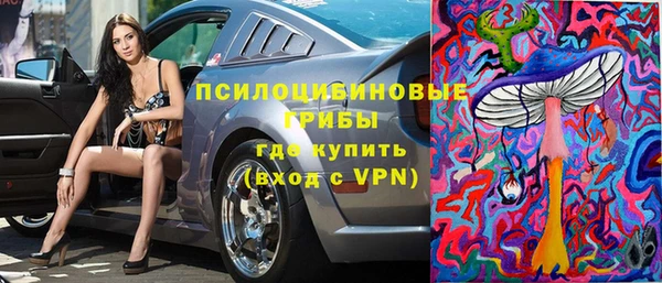 дживик Абинск
