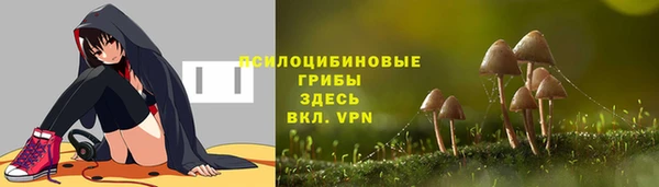 дживик Абинск