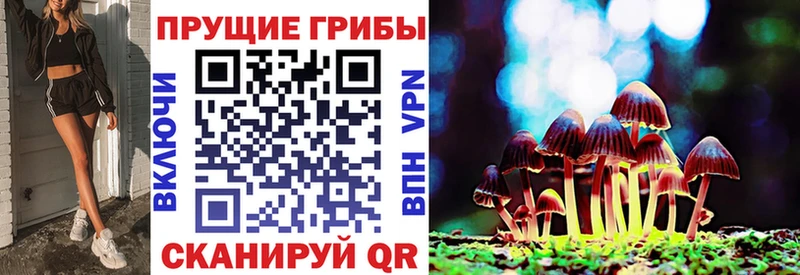 где купить наркоту Сальск Галлюциногенные грибы ЛСД