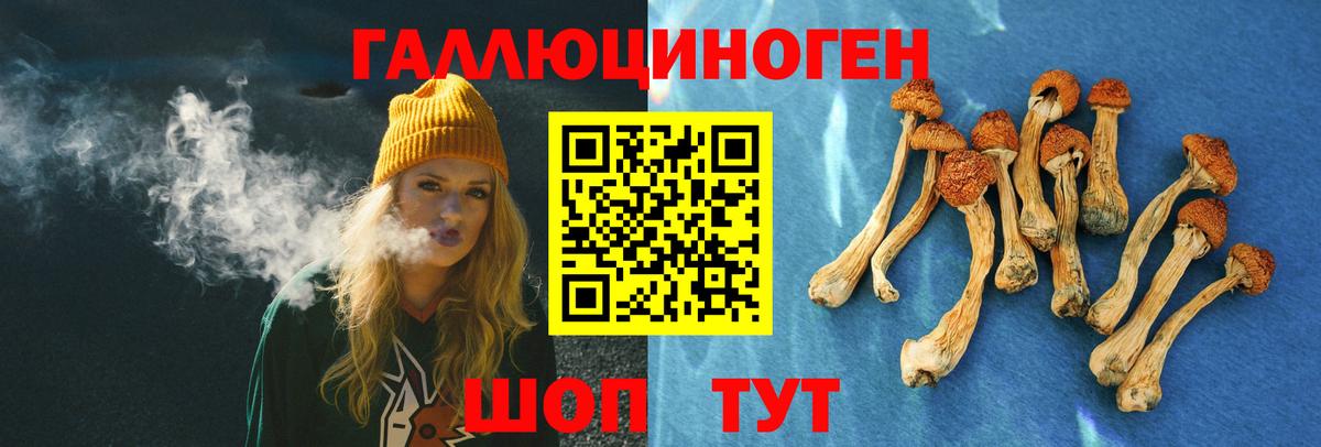 Псилоцибиновые грибы мицелий  Вход с VPN  Сальск 