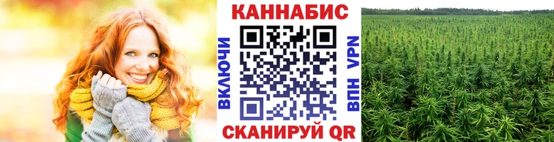 магазин    Сальск  Шишки марихуана ГИДРОПОН 